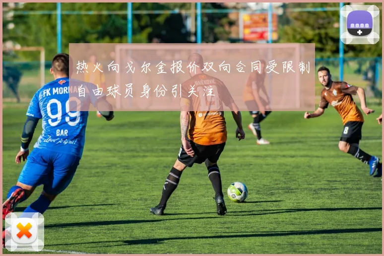 热火向戈尔金报价双向合同受限制自由球员身份引关注