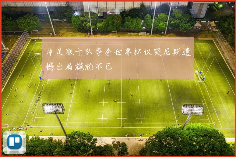 非足联十队争夺世界杯仅突尼斯遗憾出局尴尬不已