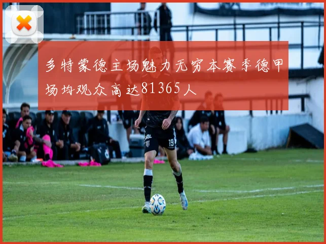 多特蒙德主场魅力无穷本赛季德甲场均观众高达81365人